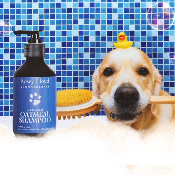 roseycloud_oatmealdogshampoo